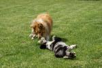 merly und sky 19